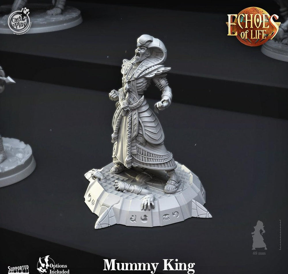 3D Printed Cast n Play Mummy King Echoes of Life 28 32mm D&D (Online Only)