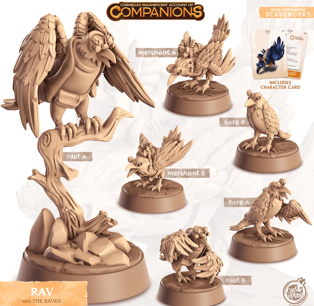 3D Printed Cast n Play Rav - The Raven Companions 28mm 32mm D&D (Online Only)