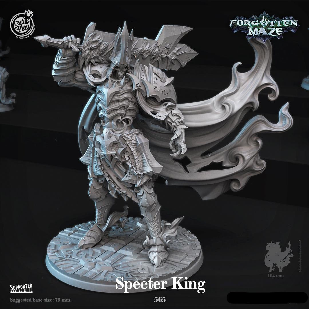 3D Printed Cast n Play Specter King Forgotten Maze 28mm 32mm D&D (Online Only)