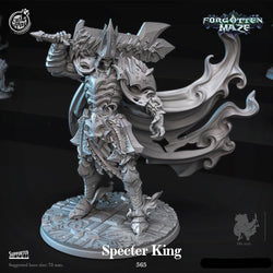 3D Printed Cast n Play Specter King Forgotten Maze 28mm 32mm D&D (Online Only)