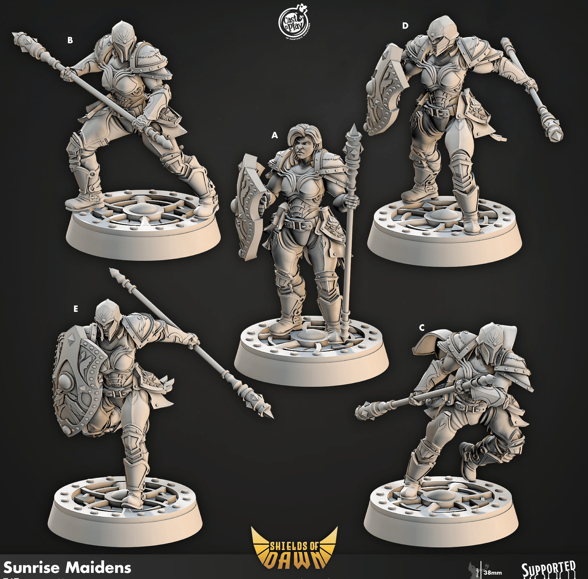 3D Printed Cast n Play Sunrise Maidens Shields of Dawn 28mm 32mm D&D (Online Only)