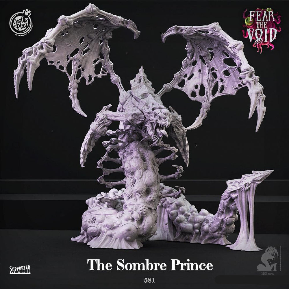 3D Printed Cast n Play The Sombre Prince Fear the Void 28mm 32mm D&D (Online Only)