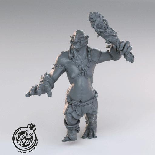 3D Printed Cast n Play Trolls 28mm 32mm D&D (Online Only)