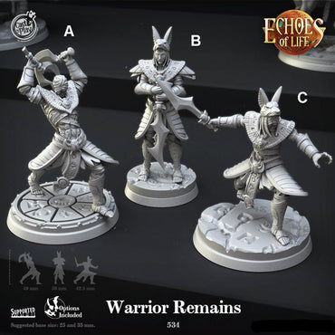 3D Printed Cast n Play Warrior Remains Echoes of Life 28 32mm D&D (Online Only)
