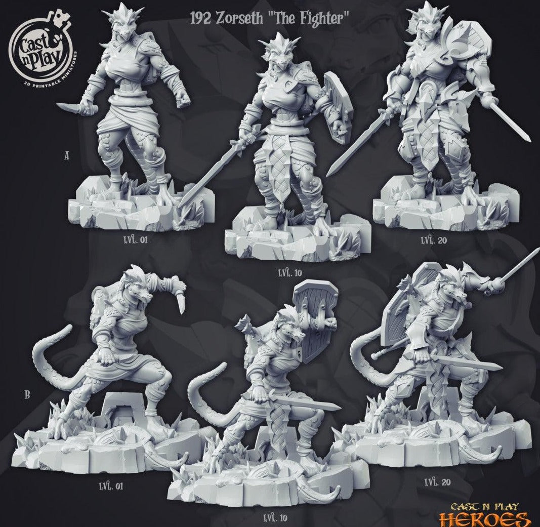 3D Printed Cast n Play Zorseth the Fighter Heroes Vol. 1 28mm 32mm D&D (Online Only)
