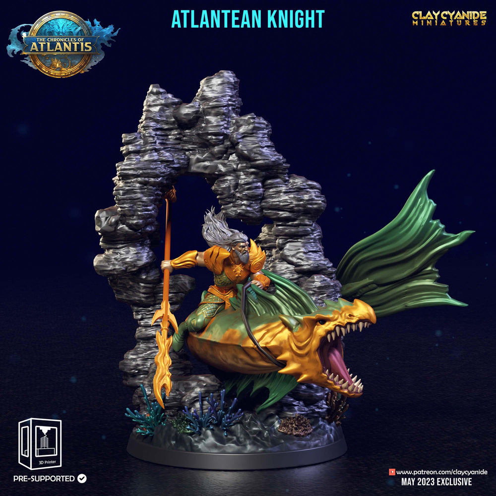 3D Printed Clay Cyanide Atlantean Knights The Chronicles of Atlantis 28 32 mm D&D (Online Only)