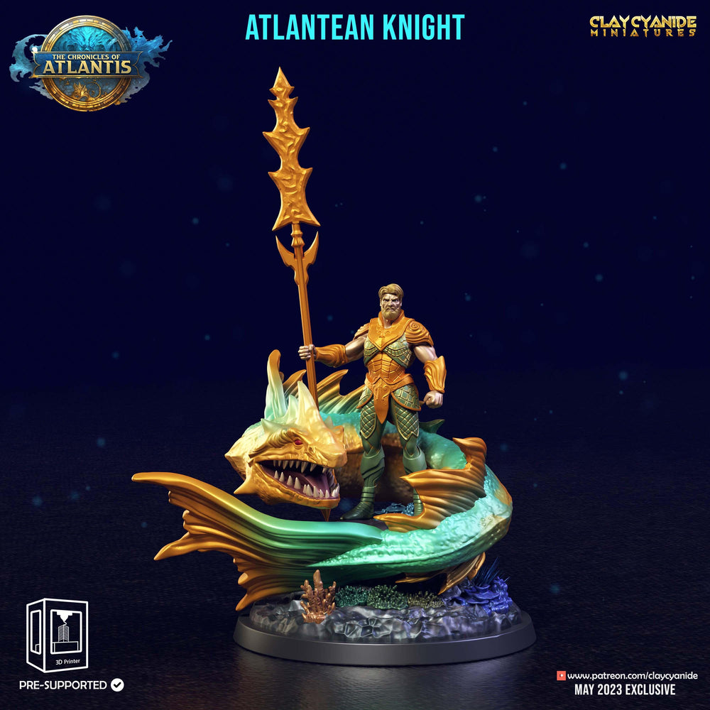 3D Printed Clay Cyanide Atlantean Knights The Chronicles of Atlantis 28 32 mm D&D (Online Only)