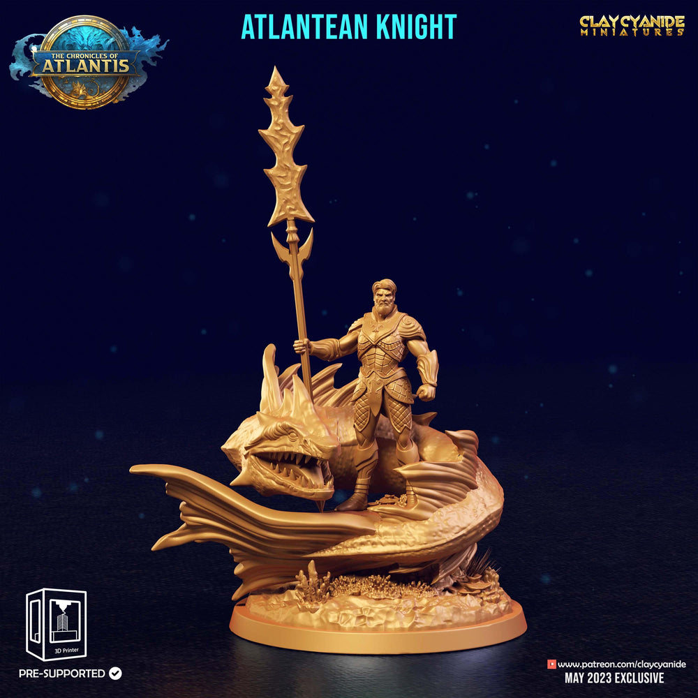 3D Printed Clay Cyanide Atlantean Knights The Chronicles of Atlantis 28 32 mm D&D (Online Only)