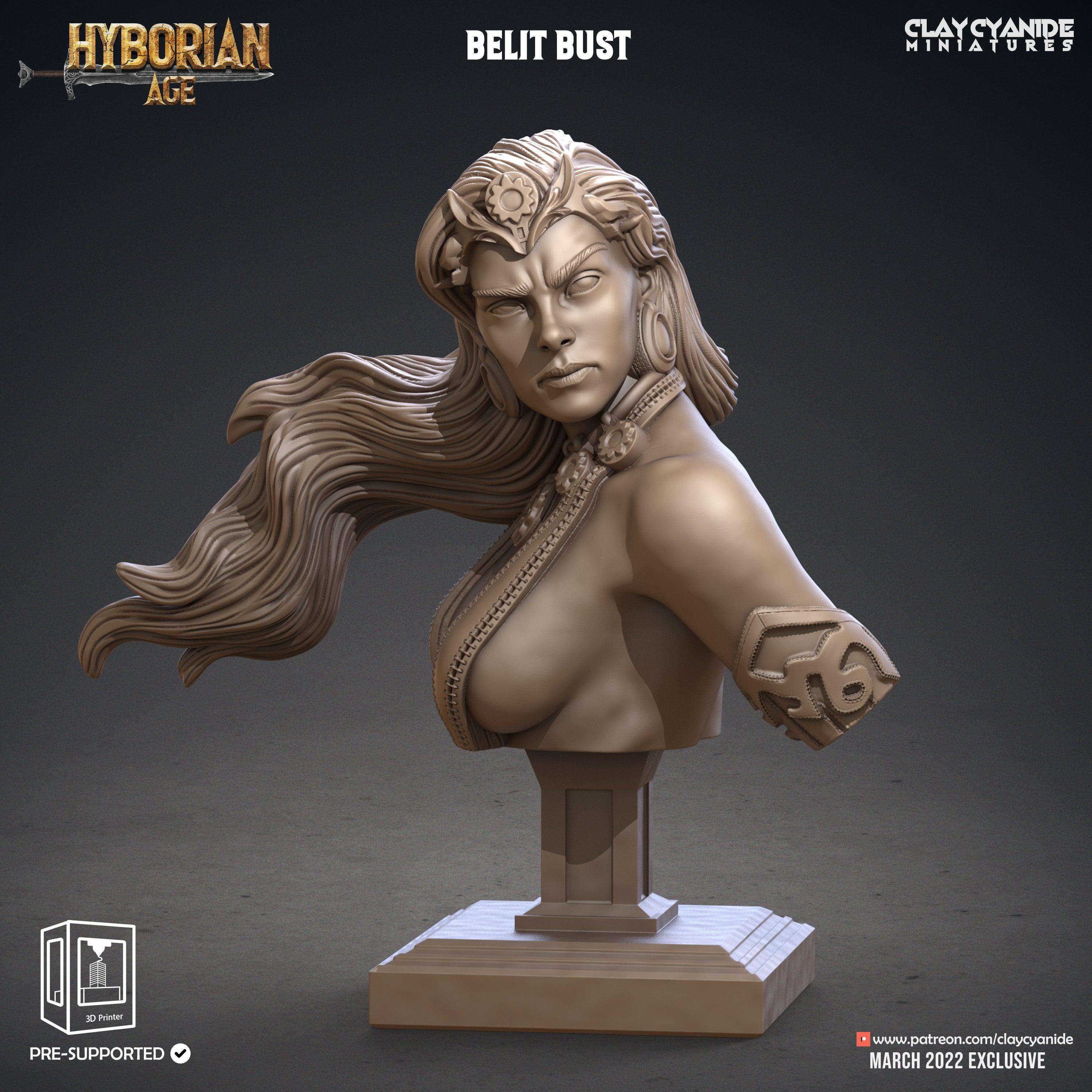 3D Printed Clay Cyanide Belit Bust Hyborean Age Ragnarok D&D (Online Only)