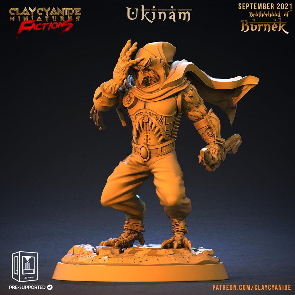 3D Printed Clay Cyanide Burneks Birdmen Owlmen Factions Ragnarok D&D (Online Only)