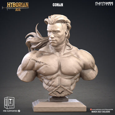 3D Printed Clay Cyanide Conan Bust Hyborean Age Ragnarok D&D (Online Only)