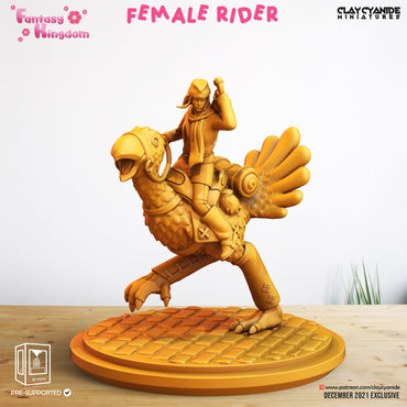 3D Printed Clay Cyanide Fantasy Kingdom - Female Rider 28mm 32mm D&D (Online Only)