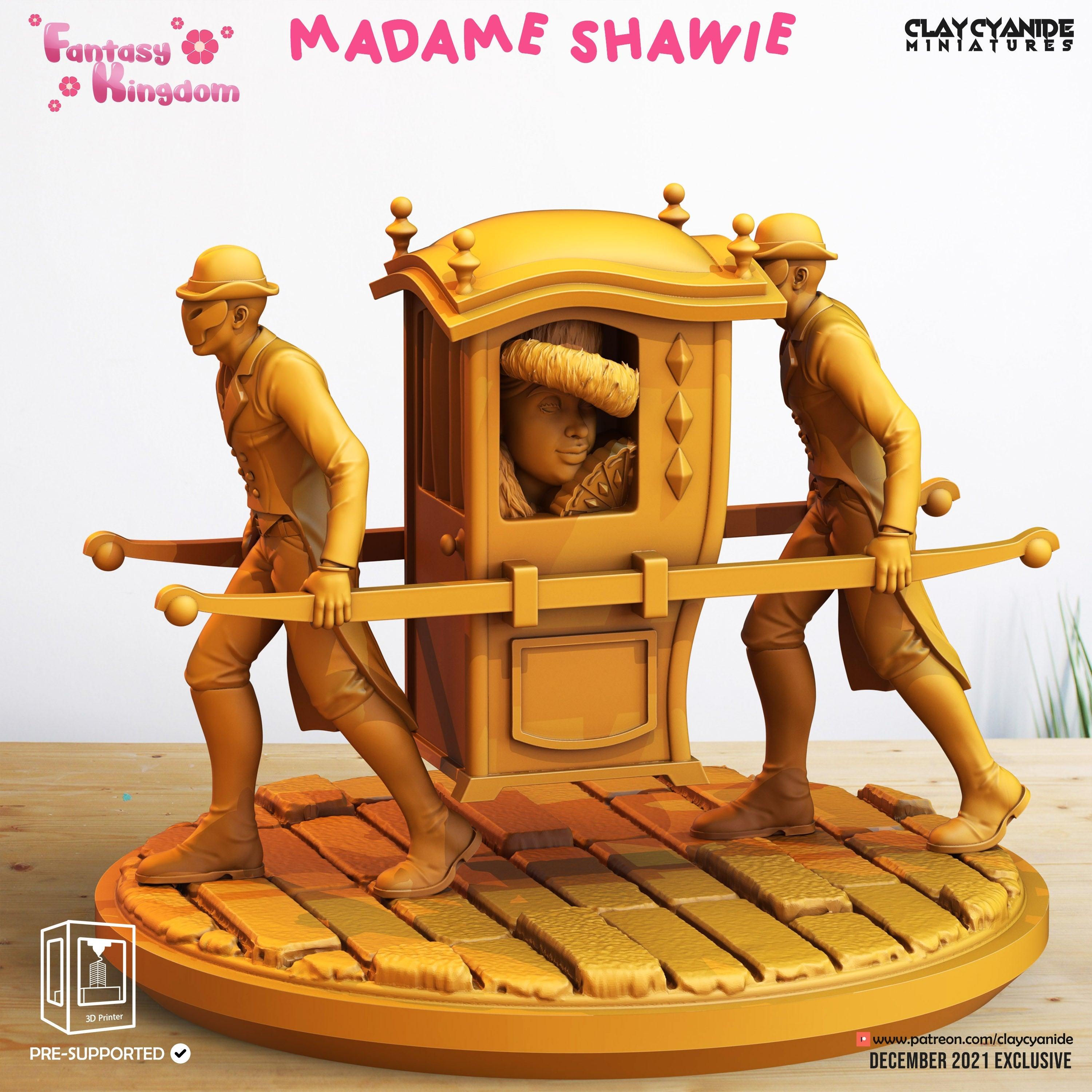 3D Printed Clay Cyanide Fantasy Kingdom - Madame Shawie 28mm 32mm D&D (Online Only)