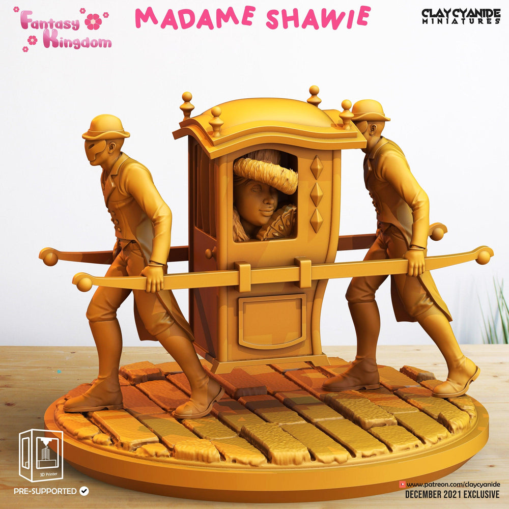 3D Printed Clay Cyanide Fantasy Kingdom - Madame Shawie 28mm 32mm D&D (Online Only)