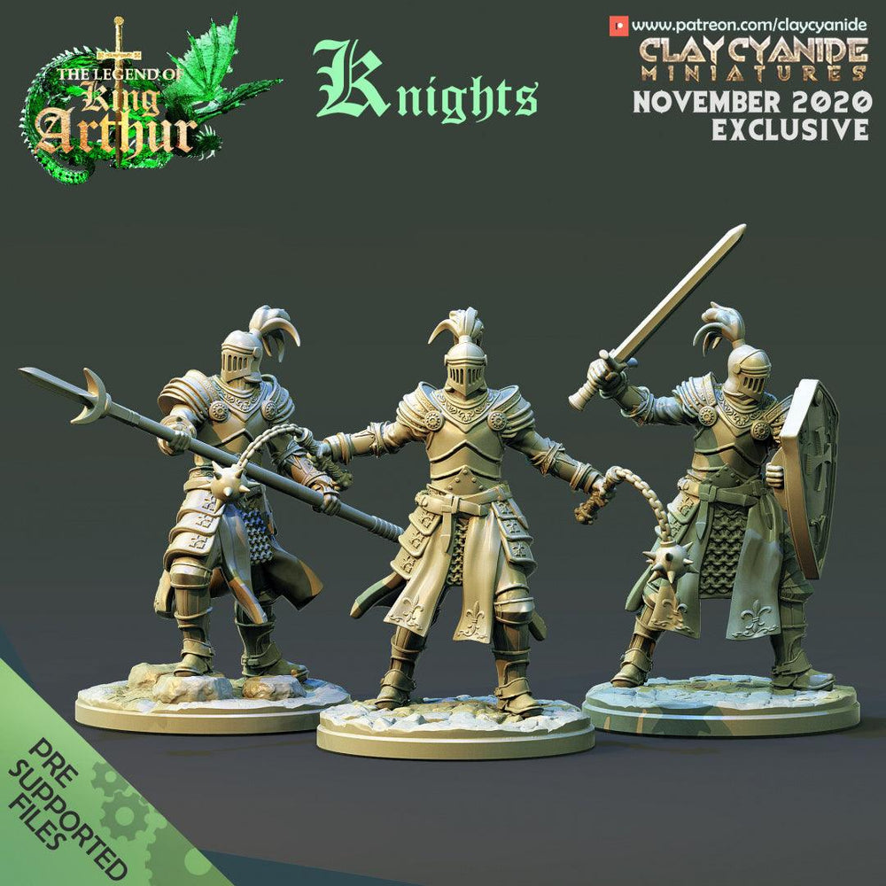 3D Printed Clay Cyanide Knights The Legend of King Arthur Ragnarok D&D (Online Only)