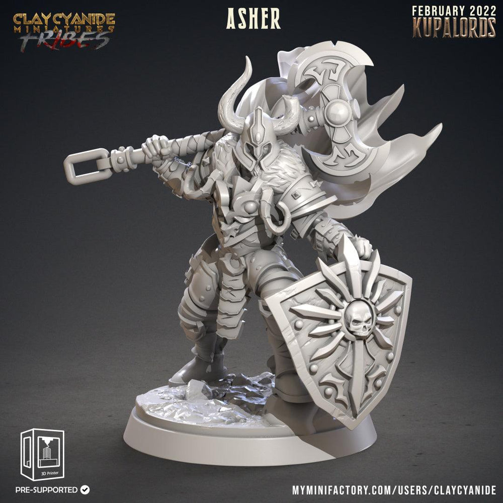 3D Printed Clay Cyanide Kupalords Deathknights Godslayers Tribes Factions Ragnarok D&D (Online Only)