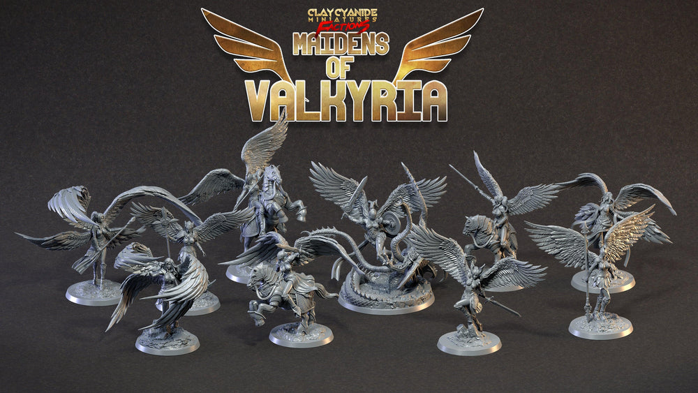 3D Printed Clay Cyanide Maidens of Valkyria Tribes Factions Ragnarok D&D (Online Only)
