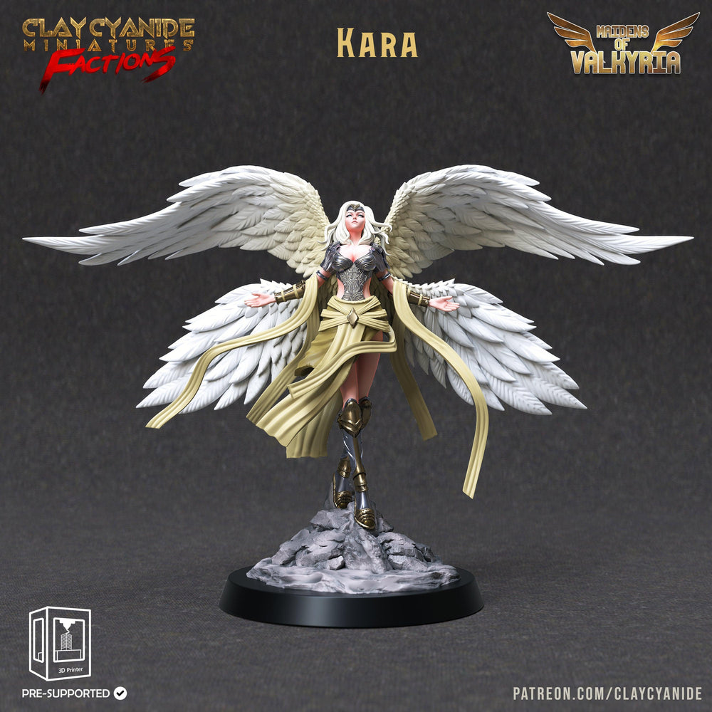 3D Printed Clay Cyanide Maidens of Valkyria Tribes Factions Ragnarok D&D (Online Only)