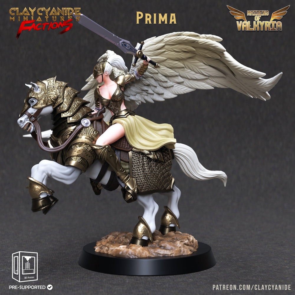 3D Printed Clay Cyanide Maidens of Valkyria Tribes Factions Ragnarok D&D (Online Only)