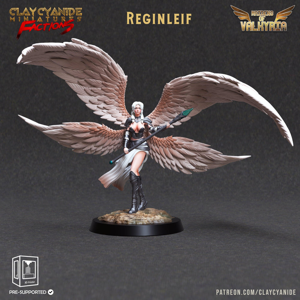 3D Printed Clay Cyanide Maidens of Valkyria Tribes Factions Ragnarok D&D (Online Only)