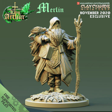3D Printed Clay Cyanide Merlin The Legend of King Arthur Ragnarok D&D (Online Only)