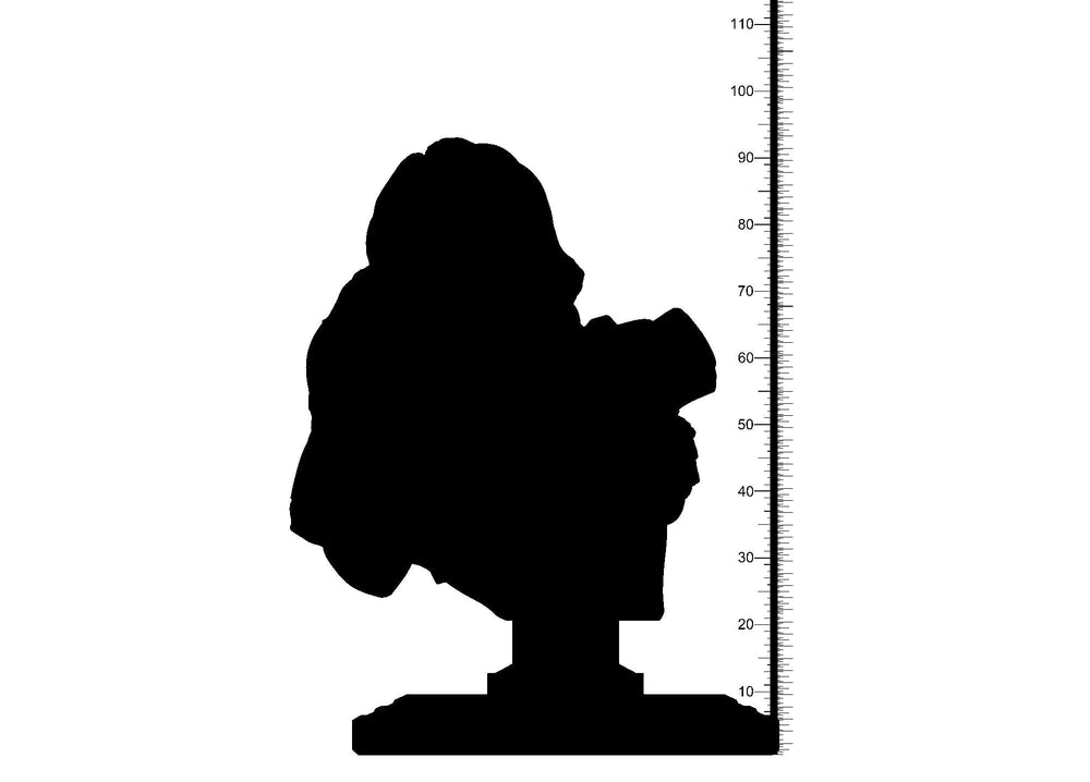 3D Printed Clay Cyanide Red Sonja Bust Hyborean Age Ragnarok D&D (Online Only)