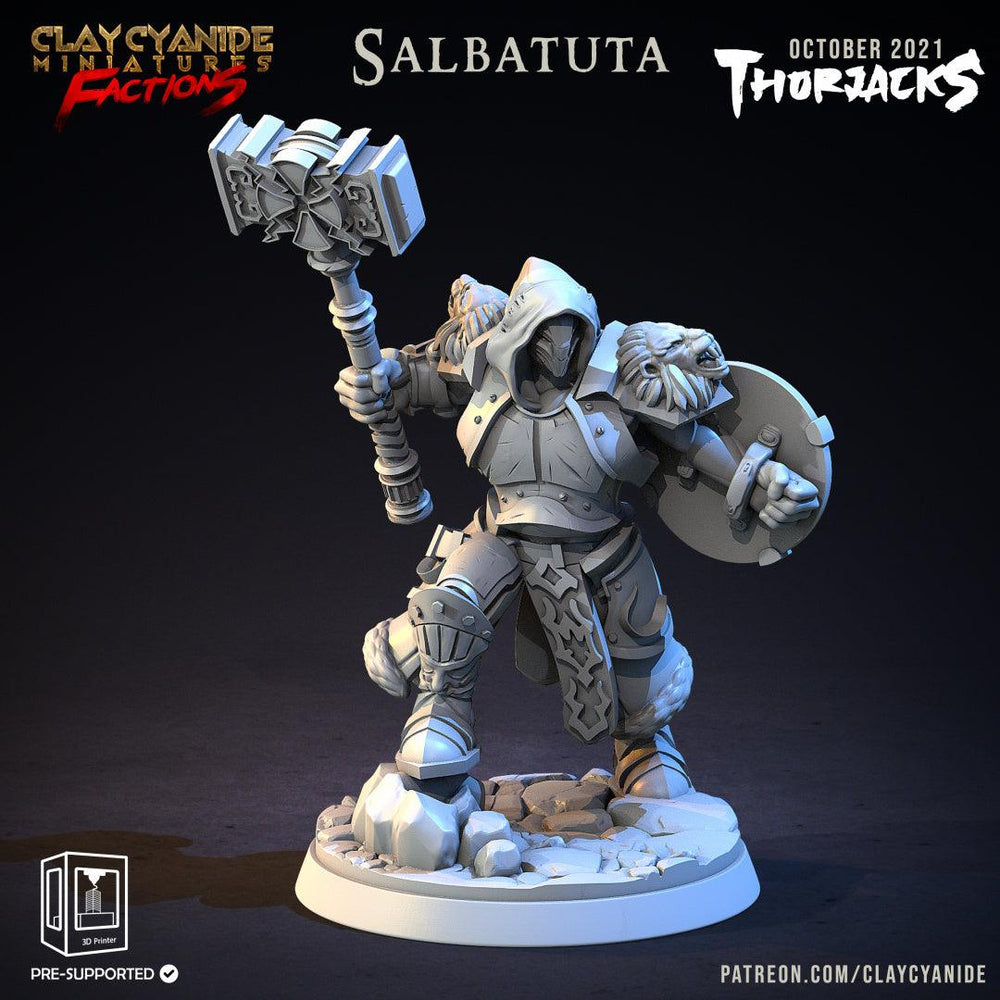 3D Printed Clay Cyanide Thorjacks Tribes Factions Ragnarok D&D (Online Only)