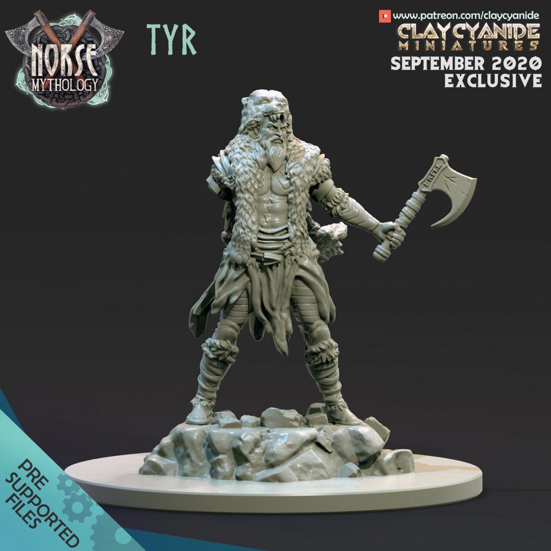 3D Printed Clay Cyanide Tyr Norse Mythology 28 32 mm D&D (Online Only)