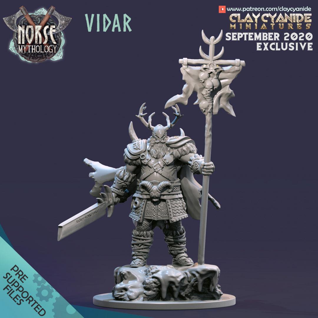 3D Printed Clay Cyanide Vidar Norse Mythology 28 32 mm D&D (Online Only)