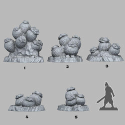 3D Printed Fantastic Plants and Rocks Cactus Flowers 28mm - 32mm D&D Wargaming (Online Only)