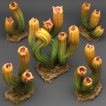 3D Printed Fantastic Plants and Rocks Carnivorous Cactus  28mm - 32mm D&D Wargaming (Online Only)