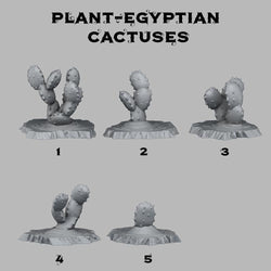 3D Printed Fantastic Plants and Rocks Egyptian Cactuses 28mm - 32mm D&D Wargaming (Online Only)