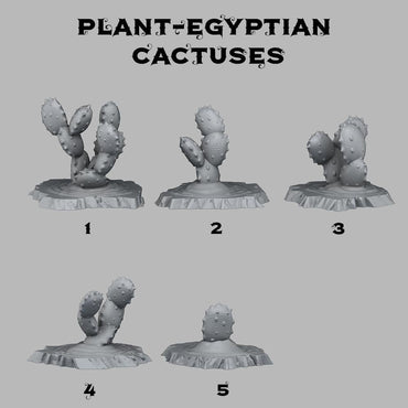3D Printed Fantastic Plants and Rocks Egyptian Cactuses 28mm - 32mm D&D Wargaming (Online Only)