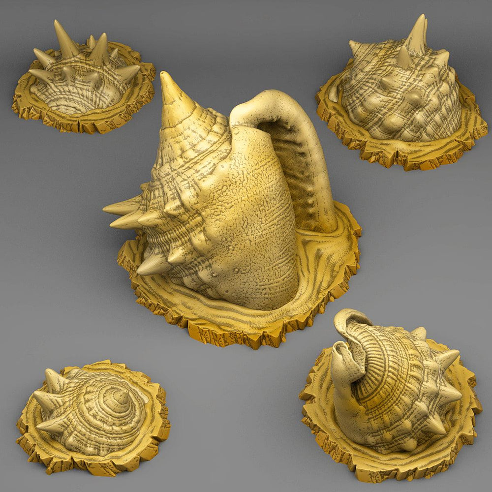 3D Printed Fantastic Plants and Rocks Giant HERMIT'S CRAB SHELL 28mm - 32mm D&D Wargaming (Online Only)