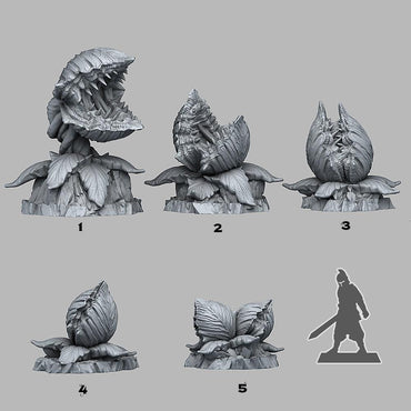 3D Printed Fantastic Plants and Rocks Massive Carnivorous Plants 28mm - 32mm D&D Wargaming (Online Only)
