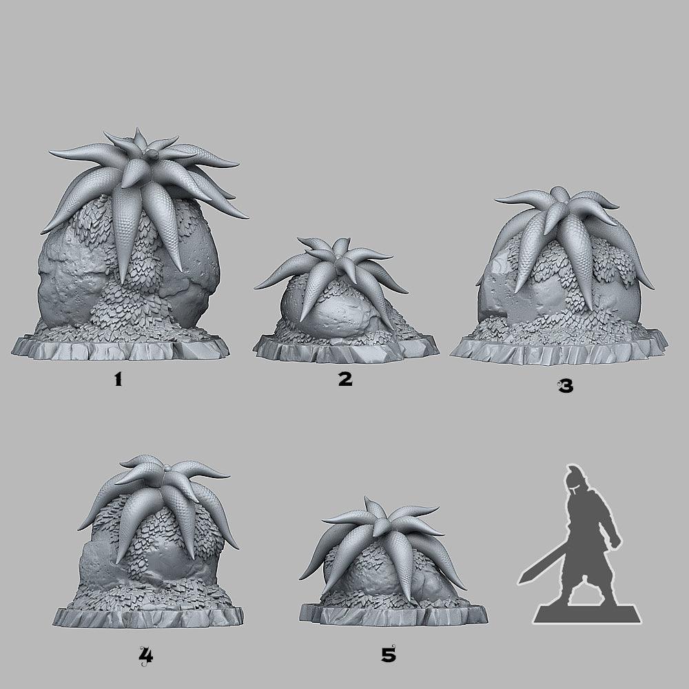3D Printed Fantastic Plants and Rocks Mysterious Starfish Flowers 28mm - 32mm D&D Wargaming (Online Only)
