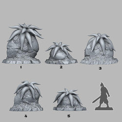 3D Printed Fantastic Plants and Rocks Mysterious Starfish Flowers 28mm - 32mm D&D Wargaming (Online Only)
