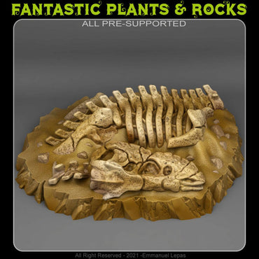 3D Printed Fantastic Plants and Rocks T-REX FOSSIL 28mm - 32mm D&D Wargaming (Online Only)
