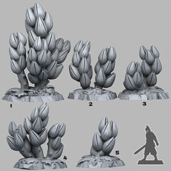 3D Printed Fantastic Plants and Rocks Tropical Flowers 28mm - 32mm D&D Wargaming (Online Only)