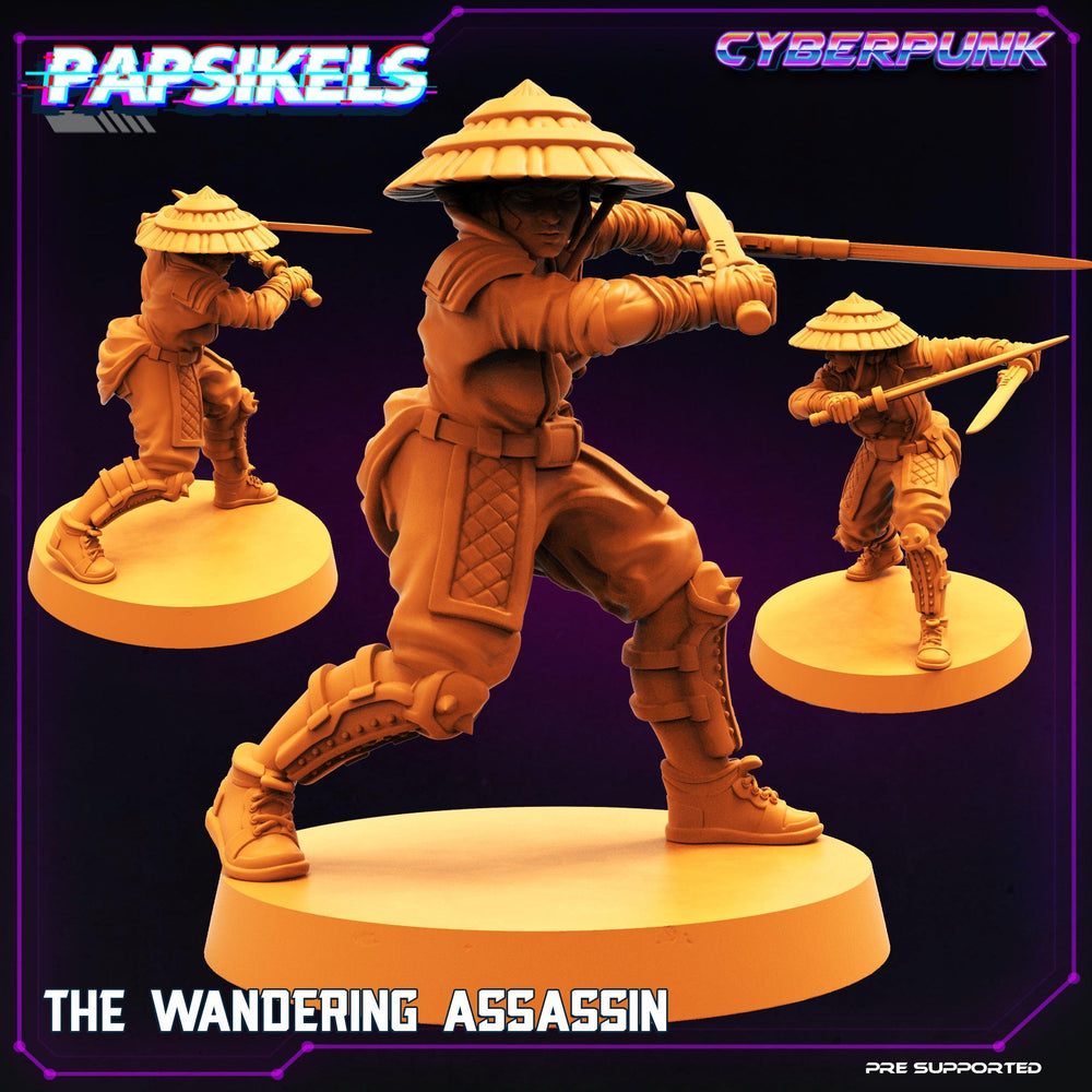 3D Printed Papsikels Cyberpunk Sci-Fi The Wandering Assassin - 28mm 32mm (Online Only)