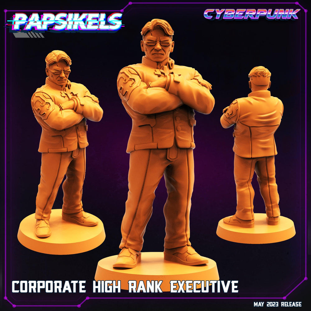 3D Printed Papsikels May 2023 Cyberpunk Corporate Counter Intel Set 28mm 32mm (Online Only)