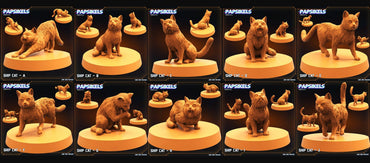 3D Printed Papsikels - Ship Cat Set - 28mm 32mm (Online Only)