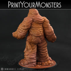 3D Printed Print Your Monsters Clay Golems - Total Golems 28mm - 32mm D&D Wargaming (Online Only)