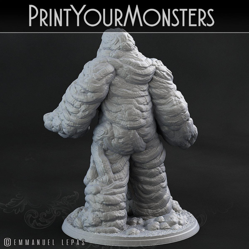 3D Printed Print Your Monsters Clay Golems - Total Golems 28mm - 32mm D&D Wargaming (Online Only)