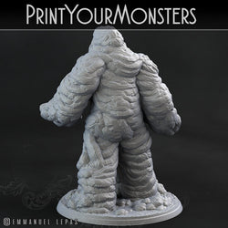 3D Printed Print Your Monsters Clay Golems - Total Golems 28mm - 32mm D&D Wargaming (Online Only)