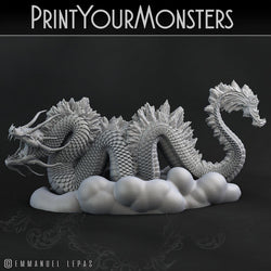 3D Printed Print Your Monsters Cloud Tatsu Total Serpents 28mm - 32mm D&D Wargaming (Online Only)