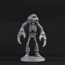 3D Printed Print Your Monsters Crab Pirate Set 28mm - 32mm D&D Wargaming (Online Only)
