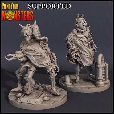 3D Printed Print Your Monsters Cyber Patients Horrifying Laboratory Pack 28mm - 32mm D&D Wargaming (Online Only)