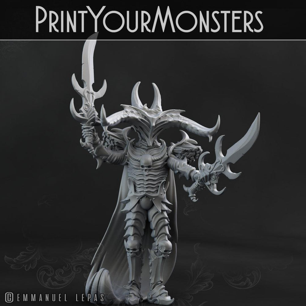 3D Printed Print Your Monsters Dark Elves Chariot and General Set 28mm - 32mm D&D Wargaming (Online Only)