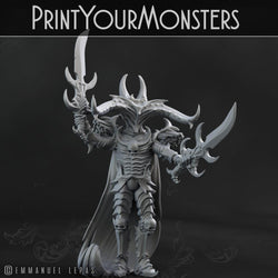3D Printed Print Your Monsters Dark Elves Chariot and General Set 28mm - 32mm D&D Wargaming (Online Only)